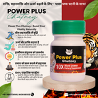 BST AYURVEDA - POWER PLUS