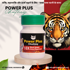 BST AYURVEDA - POWER PLUS